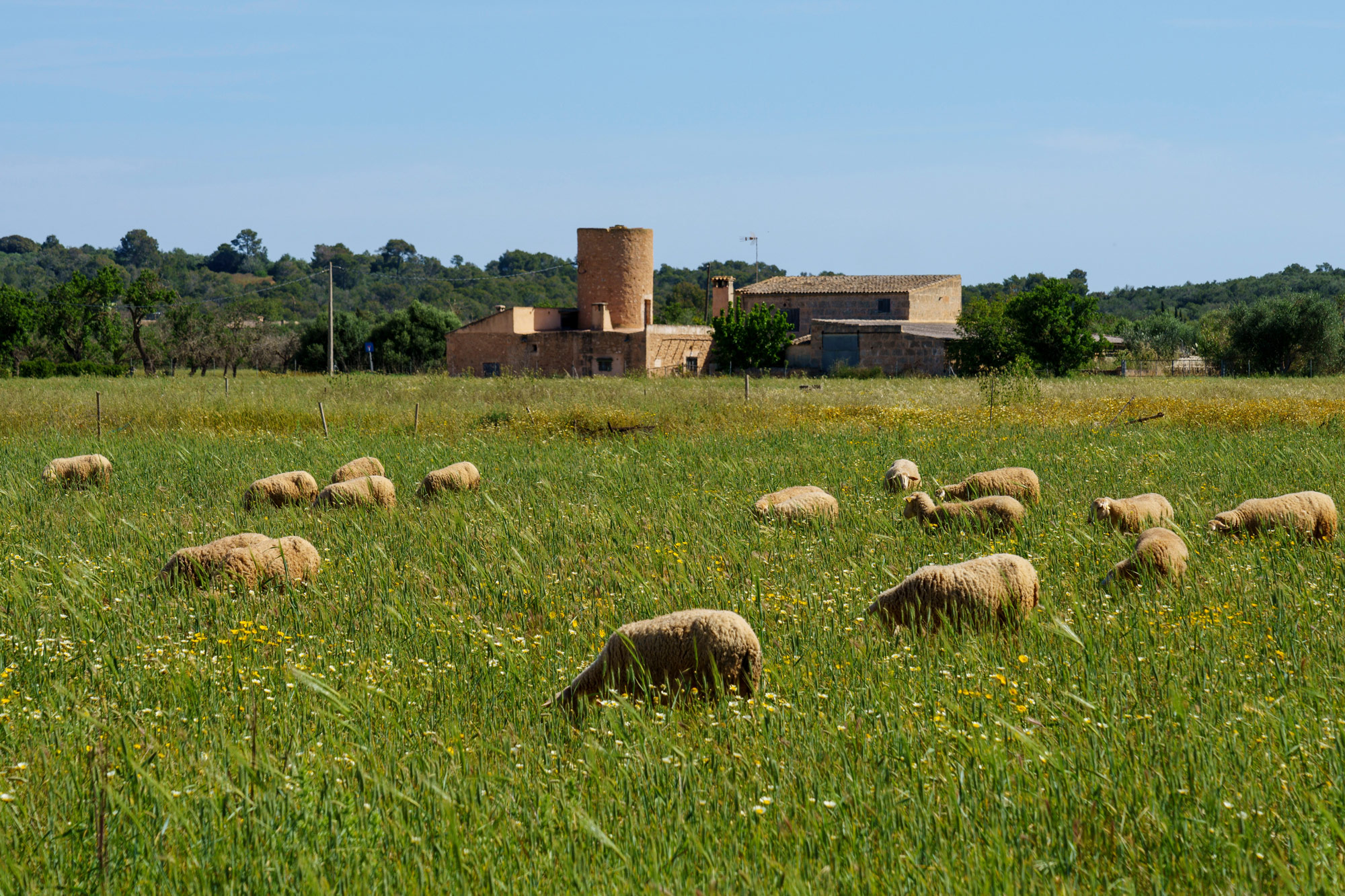 Judith Erdtmann, SBK (Schweizer Berufsverband der Pflegefachfrauen und Pflegefachmänner). Erarbeiten und Einüben von Bewältigungsstrategien, Beratung und Entlastung von Angehörigen, Achtsamkeits- und Entspannungstraining, Unterstützung in der Wohnungspflege, Expositionstraining, Medikamentenmanagement, Erarbeiten von Krisen- und Notfallplänen, Förderung von Selbstfürsorge und -wirksamkeit, Koordination innerhalb des Helfernetzes, Erarbeiten von interdisziplinären Behandlungskonzepten, Akutes Krisenmanagement, Psychoedukation