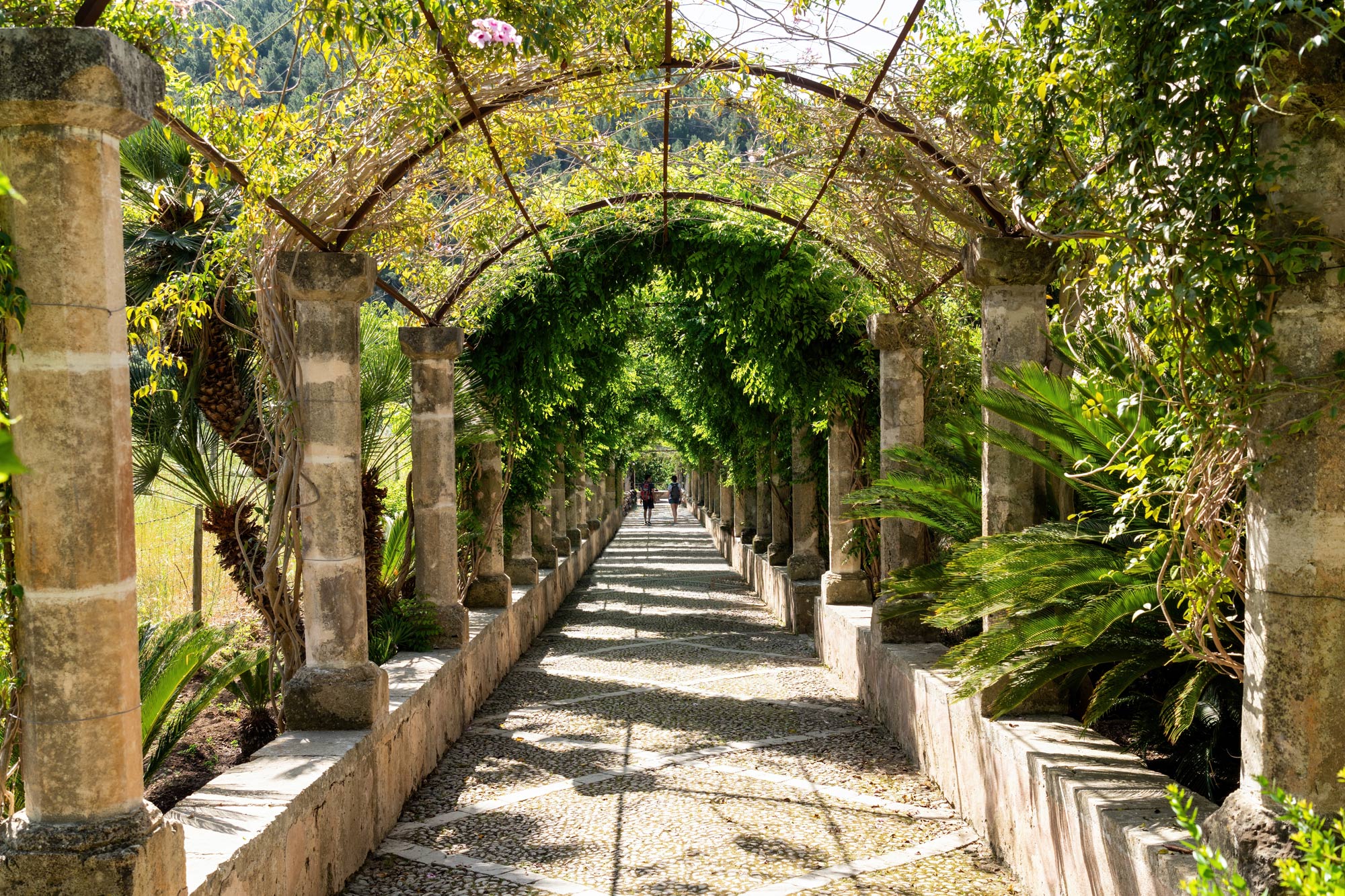 Judith Erdtmann, SBK (Schweizer Berufsverband der Pflegefachfrauen und Pflegefachmänner). Erarbeiten und Einüben von Bewältigungsstrategien, Beratung und Entlastung von Angehörigen, Achtsamkeits- und Entspannungstraining, Unterstützung in der Wohnungspflege, Expositionstraining, Medikamentenmanagement, Erarbeiten von Krisen- und Notfallplänen, Förderung von Selbstfürsorge und -wirksamkeit, Koordination innerhalb des Helfernetzes, Erarbeiten von interdisziplinären Behandlungskonzepten, Akutes Krisenmanagement, Psychoedukation